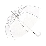 Transparent Long Umbrella Black Little Stars | Bisetti
