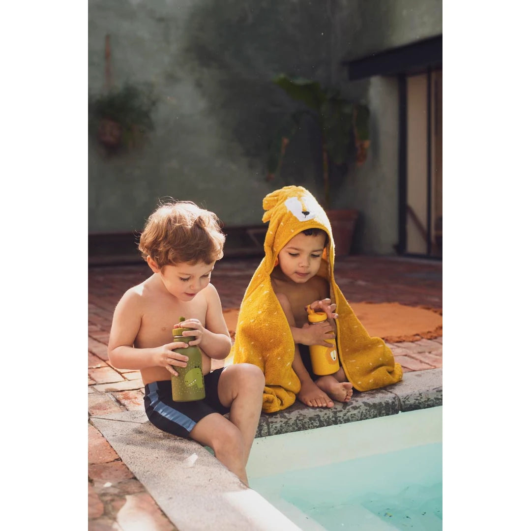 Lion Thermal Flask 350ml - Trixie